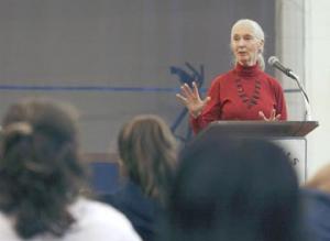 珍古德 (Jane Goodall)